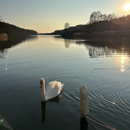 Haus An Der Spree * Friedland (Brandenburg)