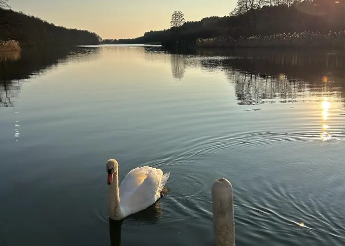 Haus An Der Spree * Friedland (Brandenburg)