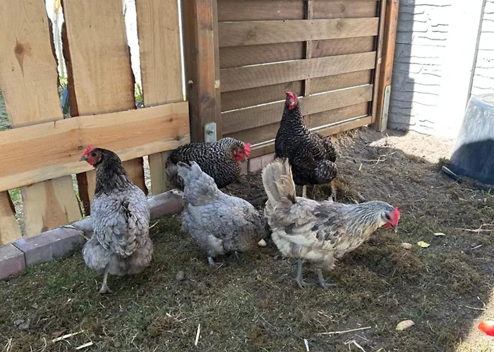 Haus An Der Spree * Friedland (Brandenburg)